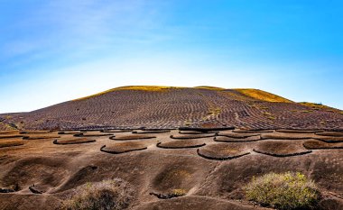 Volkanik manzara, La Geria, Lanzarote Adası, Kanarya Adaları, İspanya, Avrupa