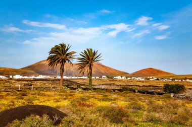 Volkanik manzara, Lanzarote Adası, Kanarya Adaları, İspanya, Avrupa