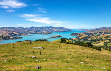 Akaroa Körfezi, Canterbury, Güney Adası, Yeni Zelanda, Okyanusya