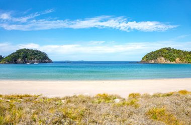 Matarouri Sahili, Kuzey Adası, Yeni Zelanda, Okyanusya.