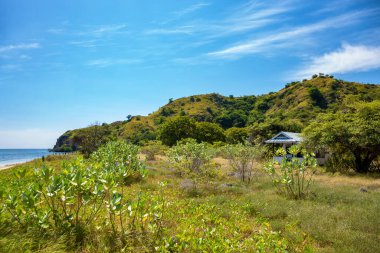 Kanawa Adası, Komodo Ulusal Parkı, Flores, Endonezya, Güneydoğu Asya