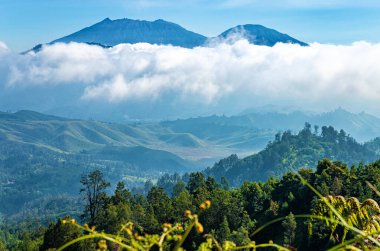 Gunung Dağı, Java Adası, Endonezya, Güneydoğu Asya
