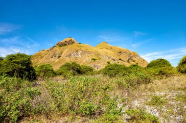 Ada Padar, Komodo Ulusal Parkı, Flores, Endonezya, Güneydoğu Asya