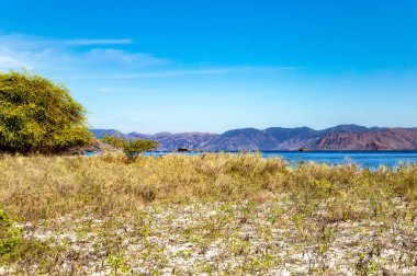 Padar Adası, Komodo Ulusal Parkı, Flores, Endonezya, Güneydoğu Asya