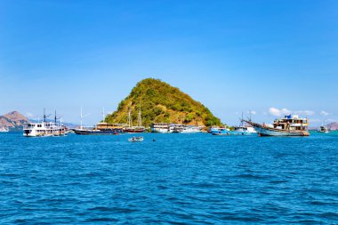 Monyet Adası, Ost Nusa Tenggara, Flores, Endonezya, Güneydoğu Asya