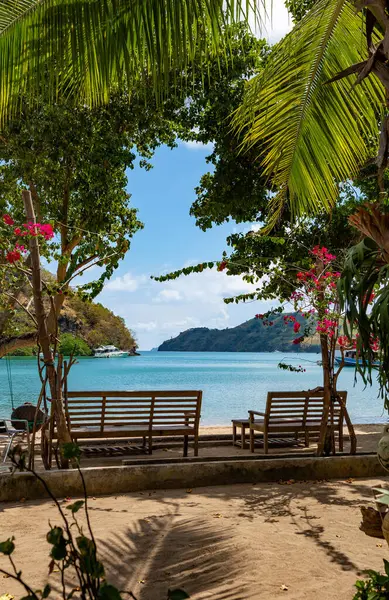 Denize bakan banklar, Labuan Bajo, Ost Nusa Tenggara, Flores, Endonezya, Güneydoğu Asya