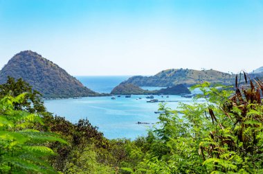 Kukusan Kecil ve Monkey Adaları, Labuan Bajo, Ost Nusa Tenggara, Flores, Endonezya, Güneydoğu Asya