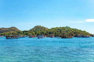 Labuan Bajo limanındaki Phinisi gemileri, Ost Nusa Tenggara, Flores, Endonezya, Güneydoğu Asya.