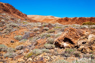 Volkanik manzara, Tenerife Adası, Kanarya Adaları, İspanya, Avrupa