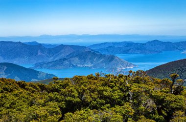 Marlborough Sesleri, Güney Adası, Yeni Zelanda, Okyanusya