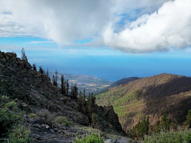 Tenerife Adası 'nın batı kıyısı, Kanarya Adaları, İspanya, Avrupa