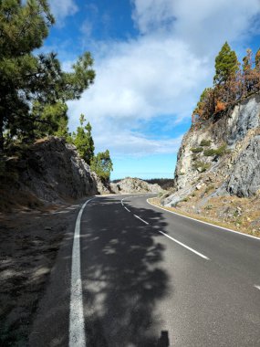Dağ yolu TF-24, Tenerife Adası, Kanarya Adaları, İspanya, Avrupa