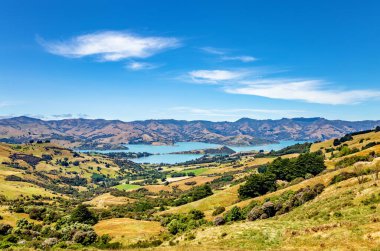 Akaroa Körfezi, Canterbury, Güney Adası, Yeni Zelanda, Okyanusya