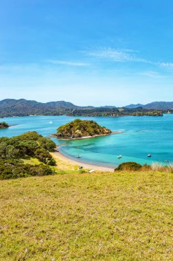 Yuvarlak Ada, Urupukapuka Adası, Adalar Körfezi, Kuzey Adası, Yeni Zelanda, Okyanusya. 