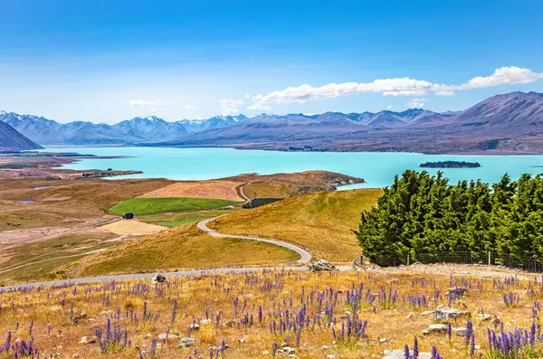 Tekapo Gölü, Canterbury, Güney Adası, Yeni Zelanda, Okyanusya