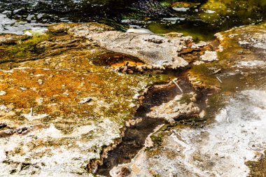 Dünya yüzeyine yakın, Waimangu Volkanik Vadisi, Rotorua, Kuzey Adası, Yeni Zelanda, Okyanusya