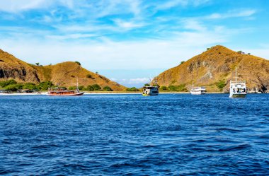 Ada Padar, Komodo Ulusal Parkı, Flores, Endonezya, Güneydoğu Asya