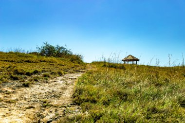 Yürüyüş yolu, Rinca Adası, Komodo Ulusal Parkı, Flores, Endonezya, Güneydoğu Asya