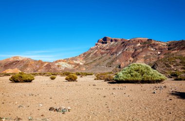 Volkanik manzara, Tenerife Adası, Kanarya Adaları, İspanya, Avrupa