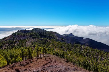 Volkanik manzara boyunca Ruta de los Volcanes, La Palma Adası, Kanarya Adaları, İspanya, Avrupa