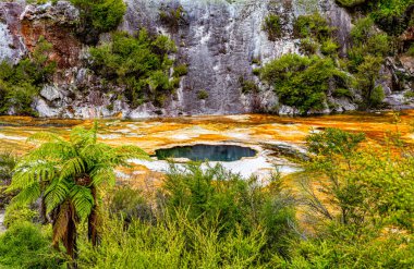 Hochstetter Havuzu, Orakei Korako Parkı, Taupo, Kuzey Adası, Yeni Zelanda, Okyanus.