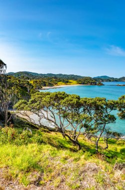 Elliot Körfezi, Kuzey Adası, Yeni Zelanda, Okyanusya. 