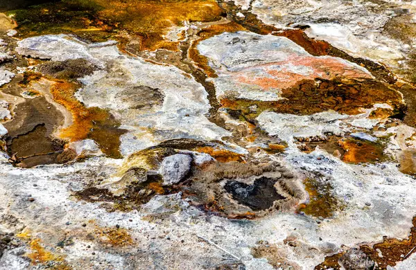 Dünya yüzeyine yakın, Waimangu Volkanik Vadisi, Rotorua, Kuzey Adası, Yeni Zelanda, Okyanusya