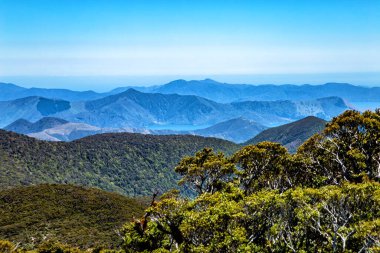 Marlborough Sesleri, Güney Adası, Yeni Zelanda, Okyanusya