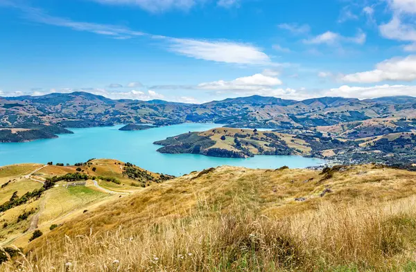 Akaroa Körfezi, Canterbury, Güney Adası, Yeni Zelanda, Okyanusya