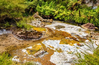 Dünya yüzeyine yakın, Waimangu Volkanik Vadisi, Rotorua, Kuzey Adası, Yeni Zelanda, Okyanusya