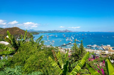 Labuan Bajo Limanı, Ost Nusa Tenggara, Flores, Endonezya, Güneydoğu Asya