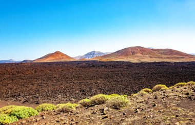 Volkanik manzara, Lanzarote Adası, Kanarya Adaları, İspanya, Avrupa