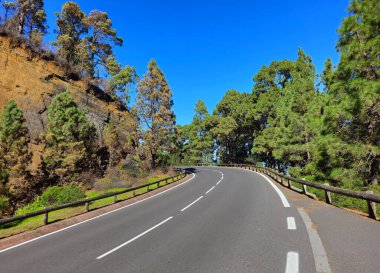 Dağ yolu TF24, Ada Tenerife, Kanarya Adaları, İspanya, Avrupa