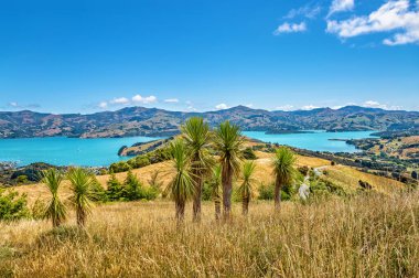 Akaroa Körfezi, Canterbury, Güney Adası, Yeni Zelanda, Okyanusya