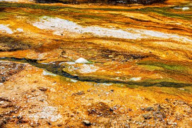Orakei Korako Parkı, Taupo, Kuzey Adası, Yeni Zelanda ve Okyanusya 'da Dünya yüzeyine yakın çekim