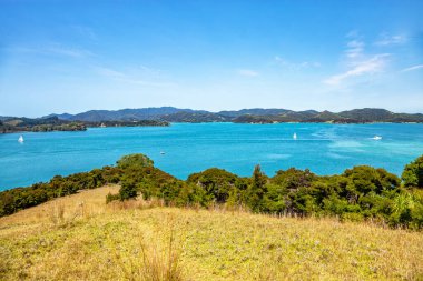 Urupukapuka Adası, Adalar Körfezi, Kuzey Adası, Yeni Zelanda, Okyanusya. 