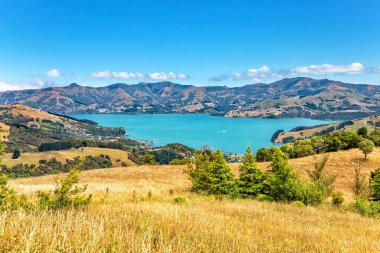 Akaroa Körfezi, Canterbury, Güney Adası, Yeni Zelanda, Okyanusya