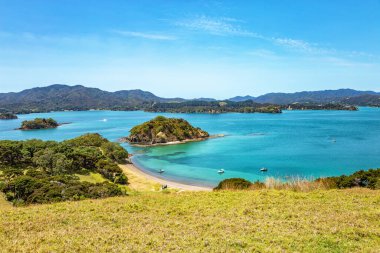 Yuvarlak Ada, Urupukapuka Adası, Adalar Körfezi, Kuzey Adası, Yeni Zelanda, Okyanusya. 
