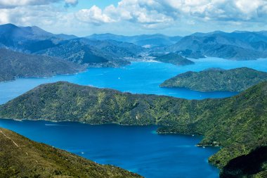 Picton Körfezi, Harbour, Marlborough Sesleri, Güney Adası, Yeni Zelanda, Okyanusya
