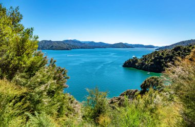 Ngakuta Körfezi, Marlborough Sesleri, Güney Adası, Yeni Zelanda, Okyanus