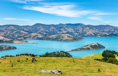 Akaroa Körfezi, Canterbury, Güney Adası, Yeni Zelanda, Okyanusya