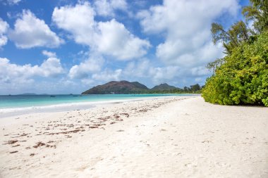 Anse Volbert Sahili, Praslin Adası, Seyşeller Cumhuriyeti, Afrika