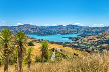 Akaroa Körfezi, Canterbury, Güney Adası, Yeni Zelanda, Okyanusya