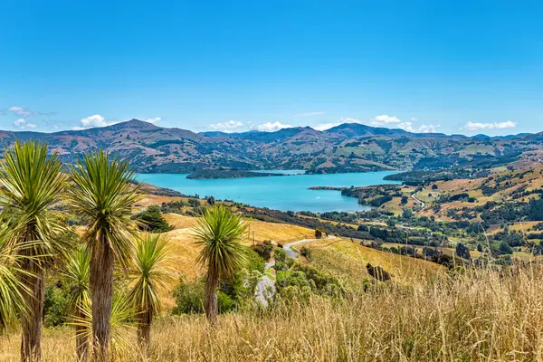 Akaroa Körfezi, Canterbury, Güney Adası, Yeni Zelanda, Okyanusya
