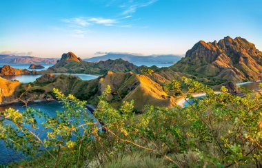 Padar Adası, Komodo Ulusal Parkı, Flores, Endonezya, Güneydoğu Asya