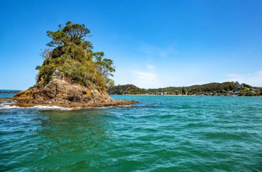Küçük ada, Paihia, Kuzey Adası, Yeni Zelanda, Okyanusya. 