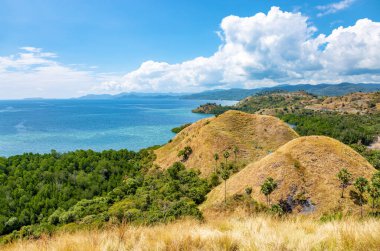 Doğu kıyısı, Labuan Bajo, Ost Nusa Tenggara, Flores, Endonezya, Güneydoğu Asya