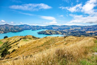 Akaroa Körfezi, Canterbury, Güney Adası, Yeni Zelanda, Okyanusya