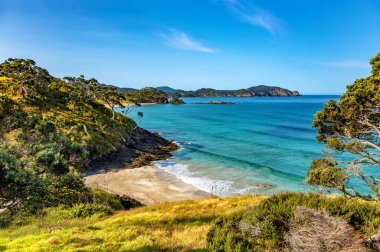 Elliot Körfezi, Kuzey Adası, Yeni Zelanda, Okyanusya. 