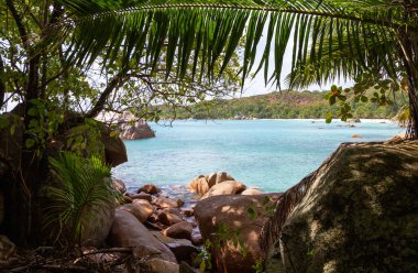 Anse Lazio Plajı, Praslin Adası, Seyşeller Cumhuriyeti, Afrika